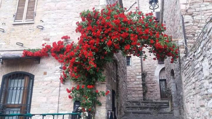 Casetta Delle Rose Assisi Exterior foto
